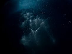 Underwater Universe / Antarctica