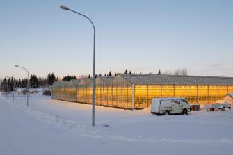 Greenhouse | Iceland 2019