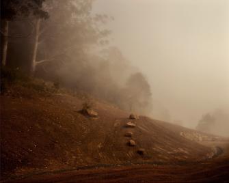 Black Star Kangaroo Valley