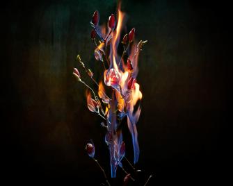 Incendium