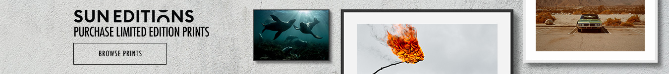 Banner top image