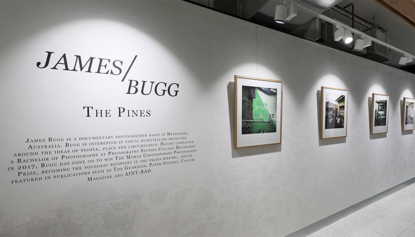 On the Feature Wall: James Bugg | SUNSTUDIOS Australia