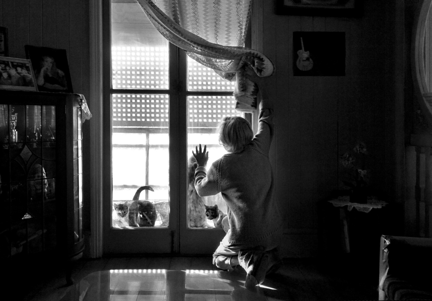 black-and-white-photo-of-child-t-the-window-pulling-away-curtain-with-cats-on-the-other-sode