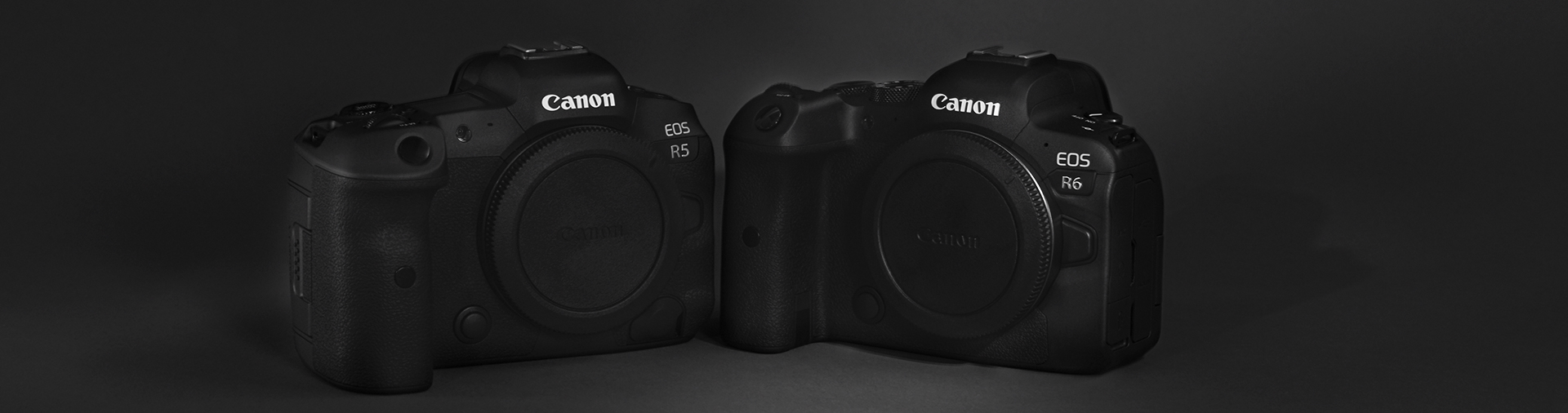 black-and-white-image-of-canon-eos-r5-and-r6-camera-bodies