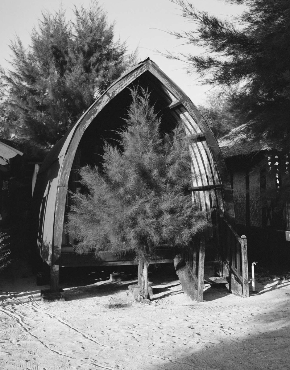 black-and-white-tree-in-front-of-boat