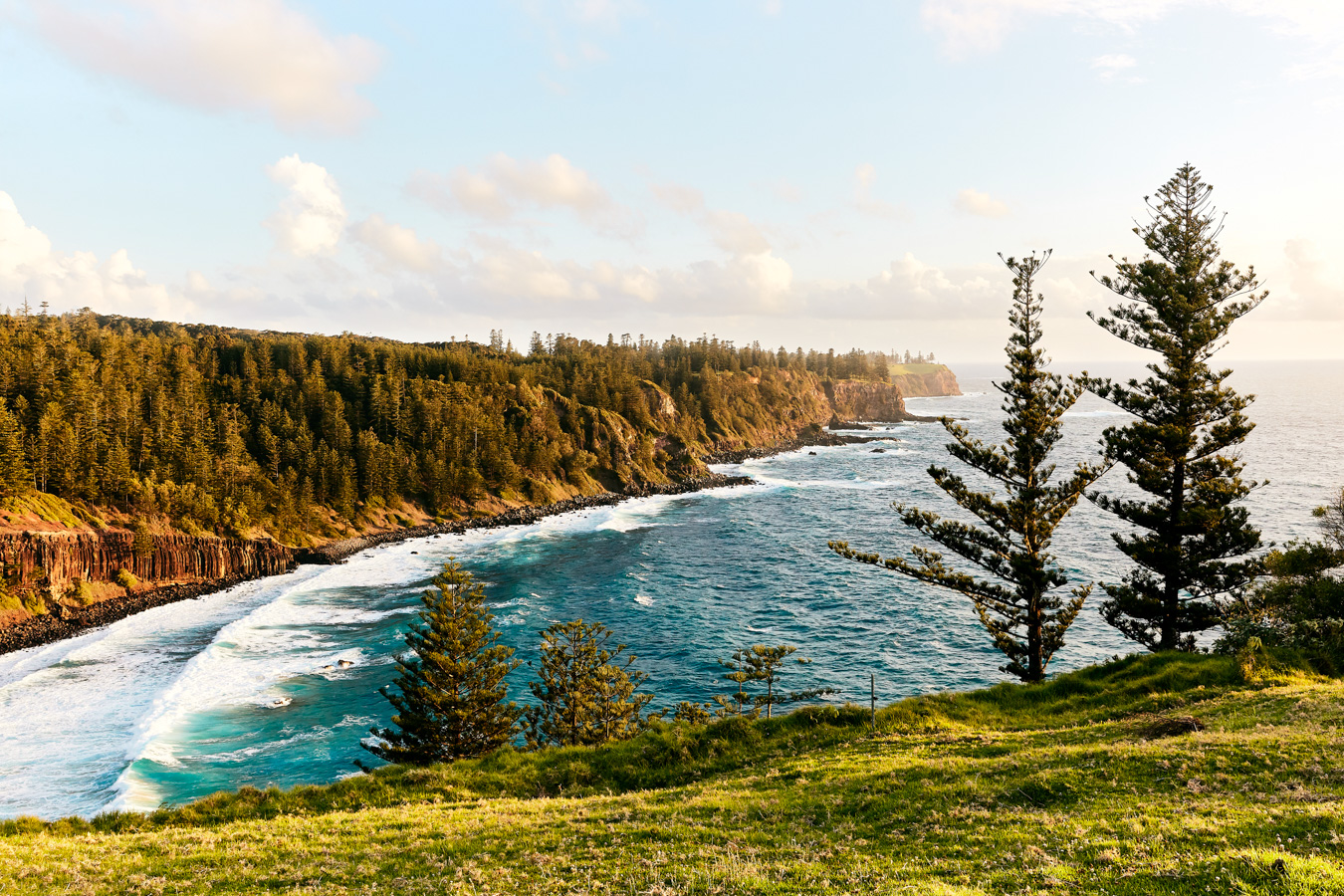 Norfolk Island by Bonnie Coumbe, commissioned by Delicious magazine for their February 2019 issue. 