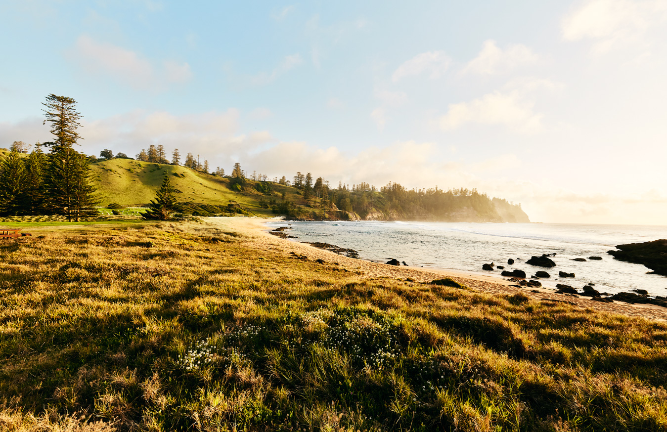 Norfolk Island by Bonnie Coumbe, commissioned by Delicious magazine for their February 2019 issue. 