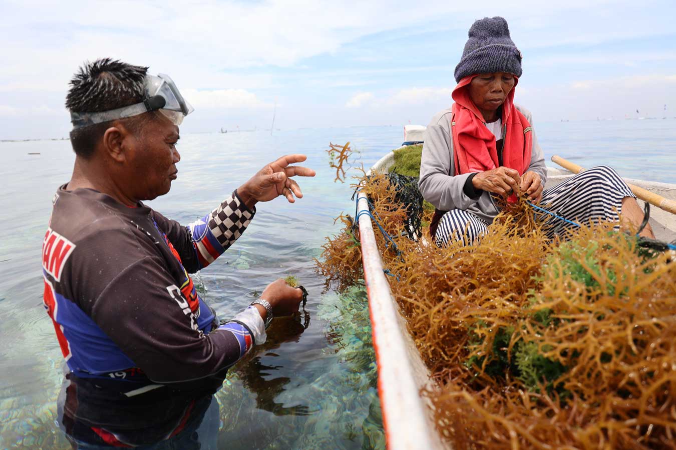 seaweed-farmers-sort-produce-on-boats-in-bali