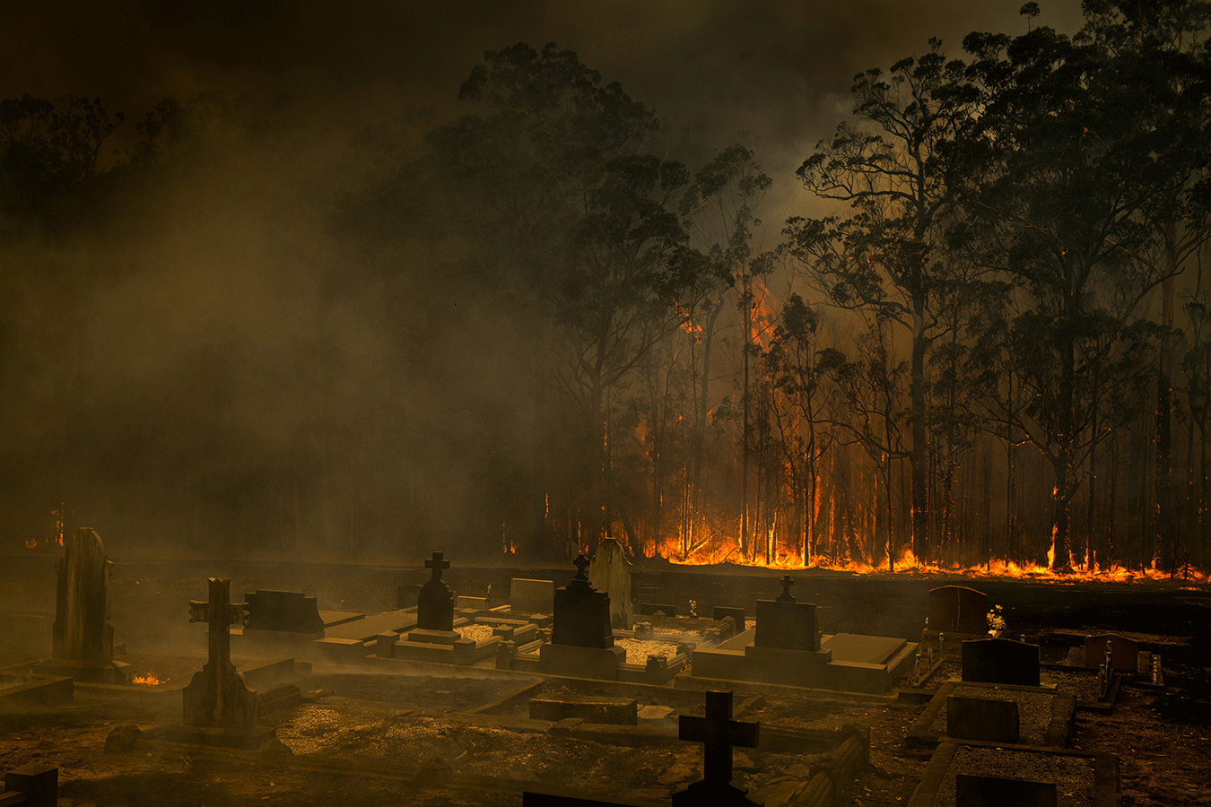 a-graveyard-close-to-the-corner-of-princess-hwy-and-fishermans-paradise-road-by-matthew-abbott-for-the-new-york-times