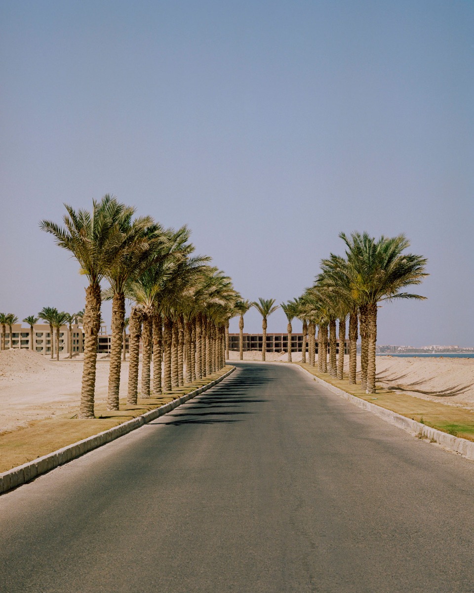 a-road-leading-through-a-row-of-palm-trees