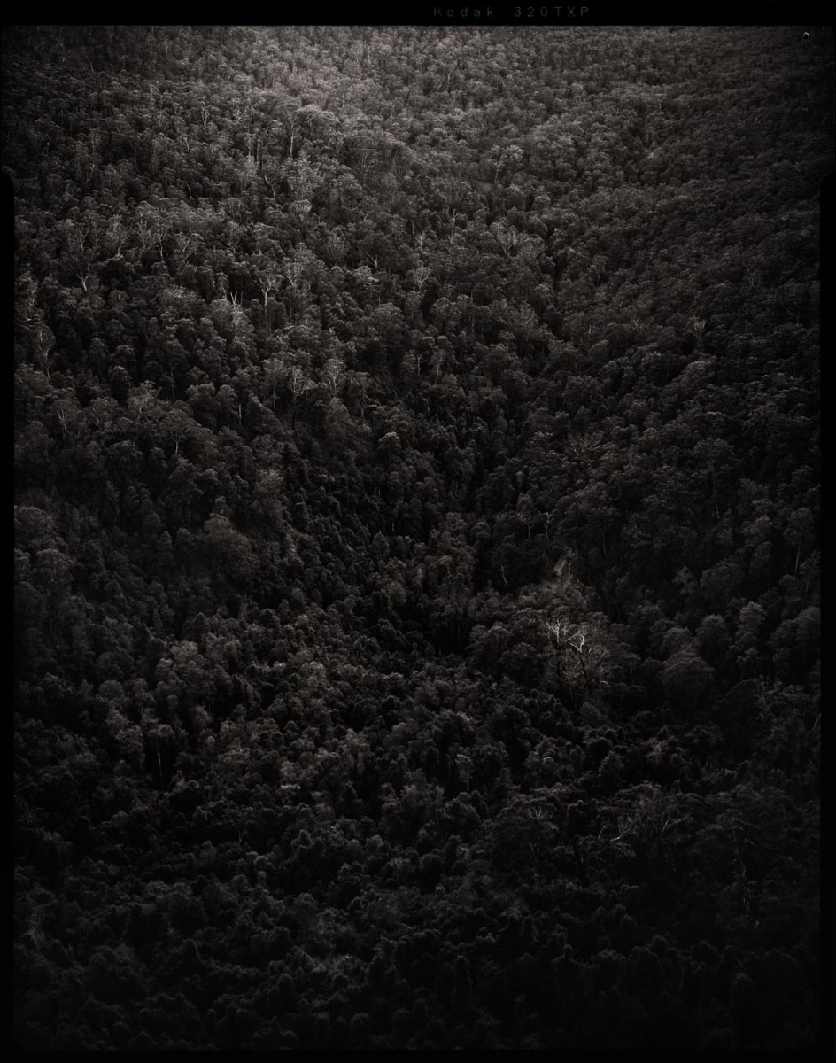 black-and-white-mountain-detail-filled-with-thousands-of-trees