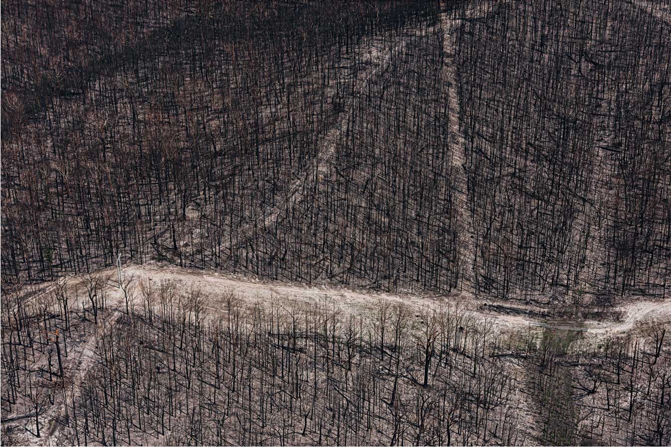 arial-shot-of-burnt-bushland-near-lake-conjola-by-james-brickwood.