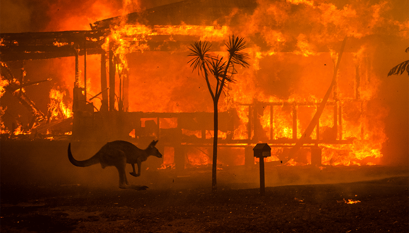 a-kangaroo-rushes-past-a-burning-house-in-lake-conjola-nsw-australia-by-matthew-abbott-for-the-new-york-times-cropped